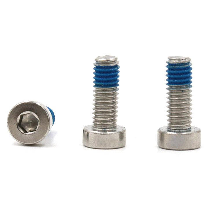 Stainless steel 18-8 hex socket low cup head mini micro locking screw Stainless steel 18-8 hex socket low cup head mini micro locking screw